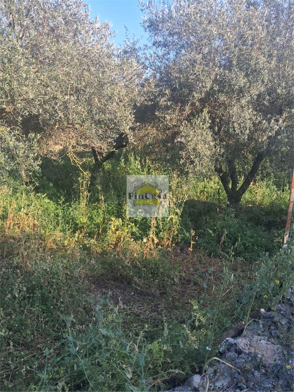 Foto annuncio 2