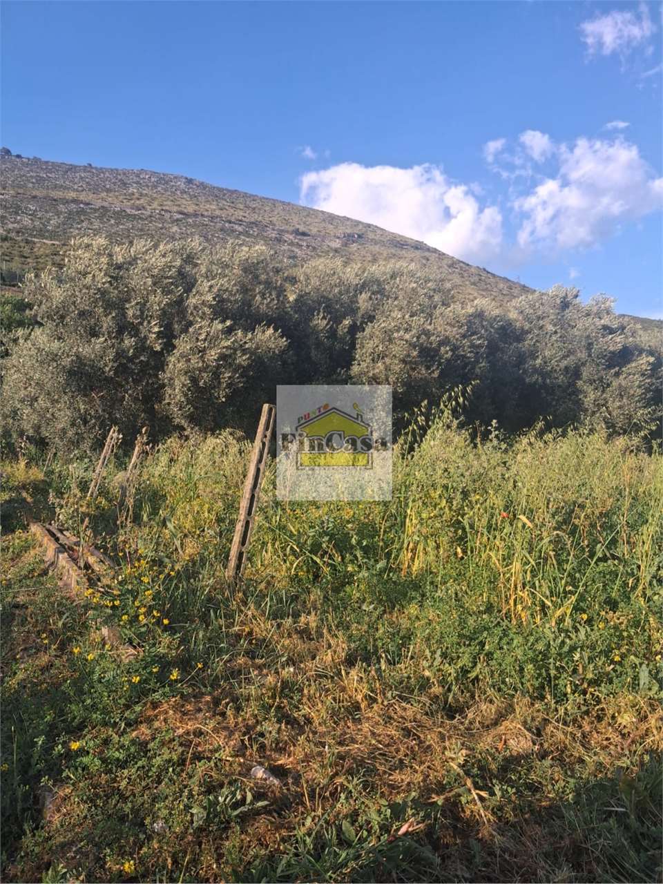 Foto annuncio 3