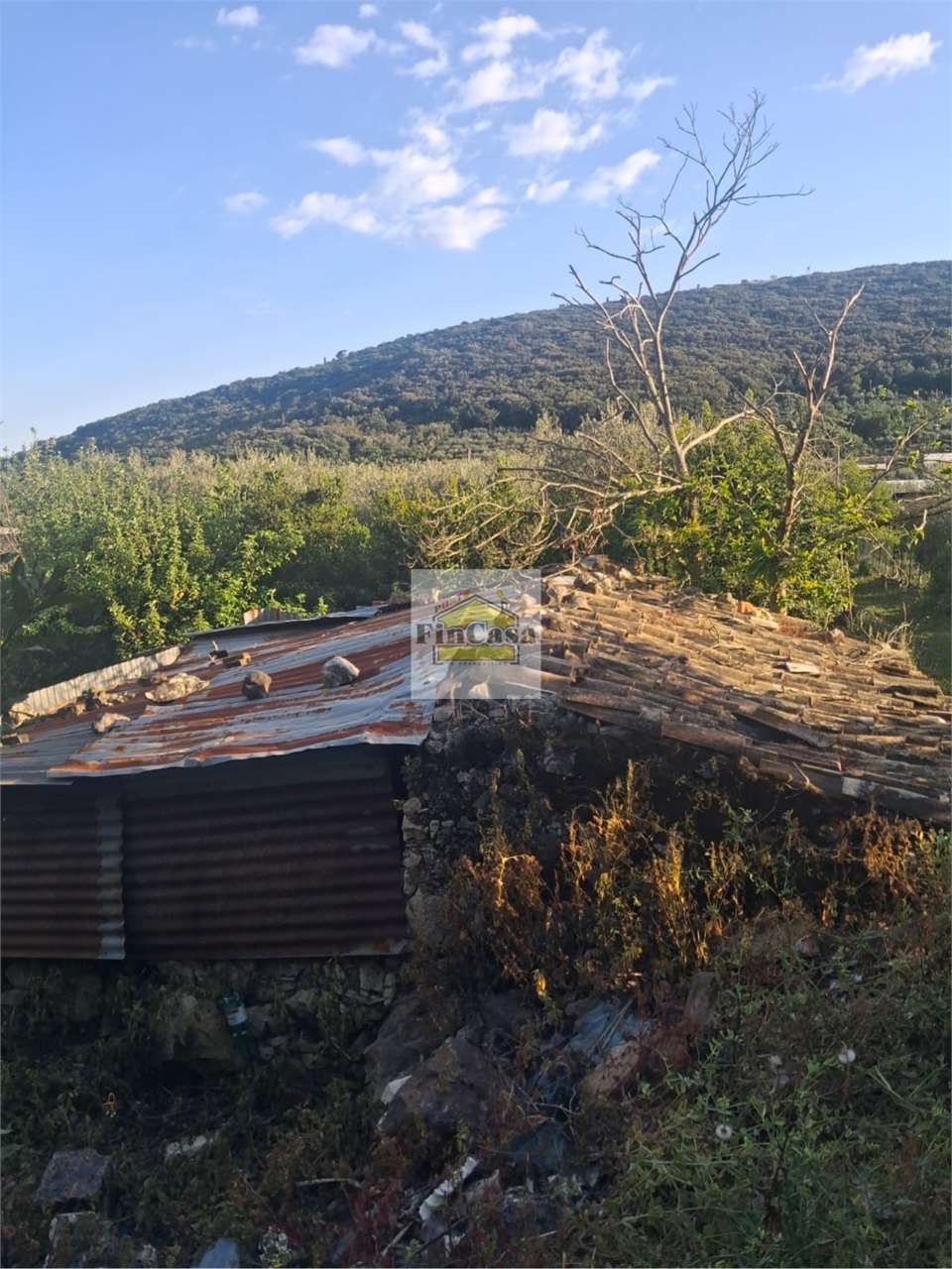 Foto annuncio 6