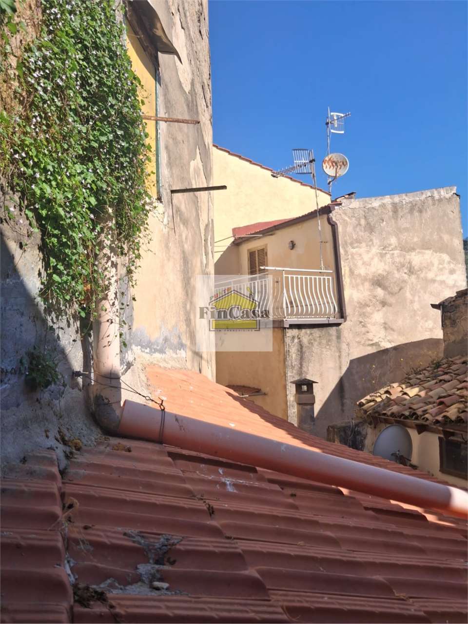 Foto annuncio 14