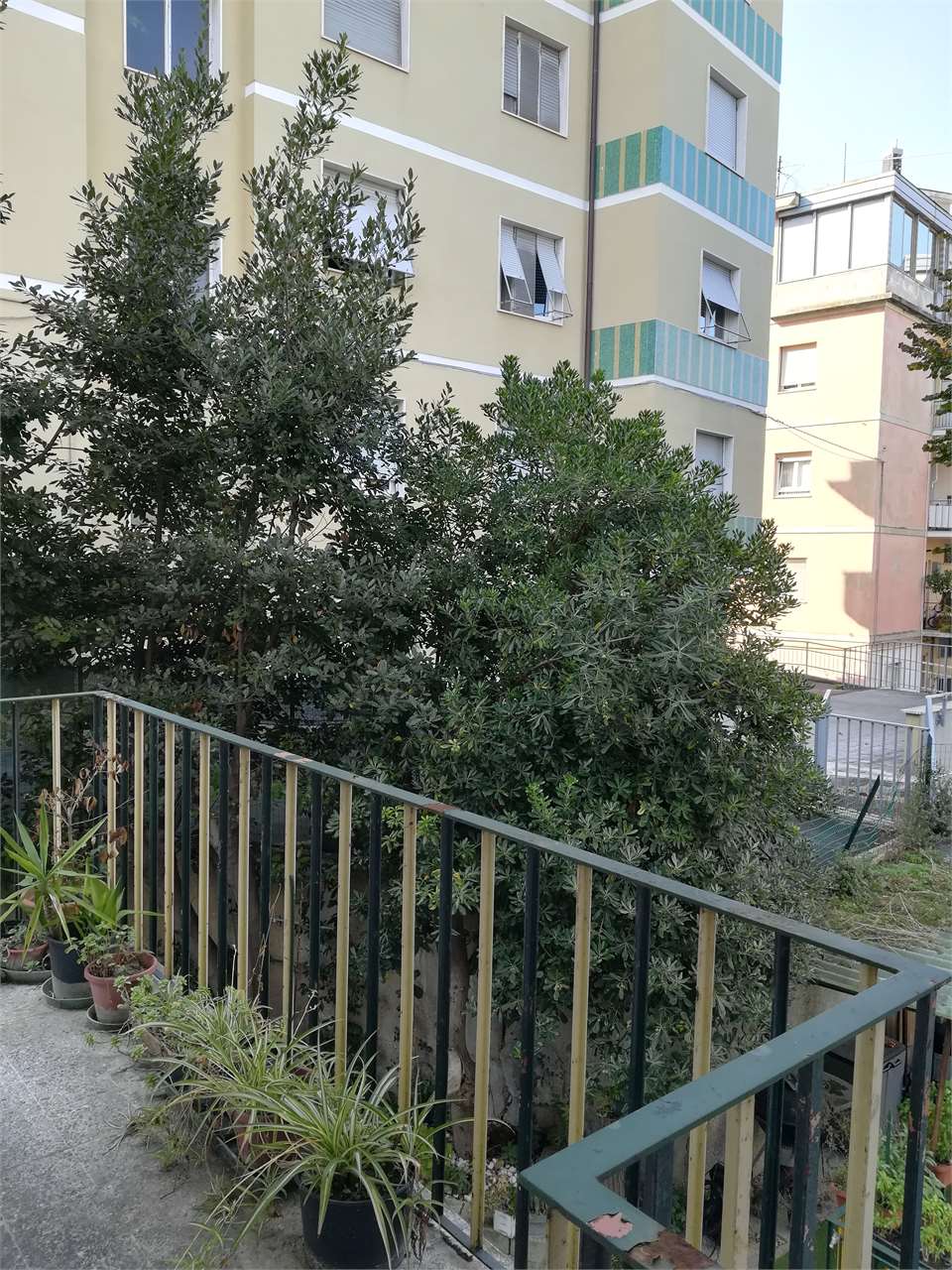 Foto annuncio 4