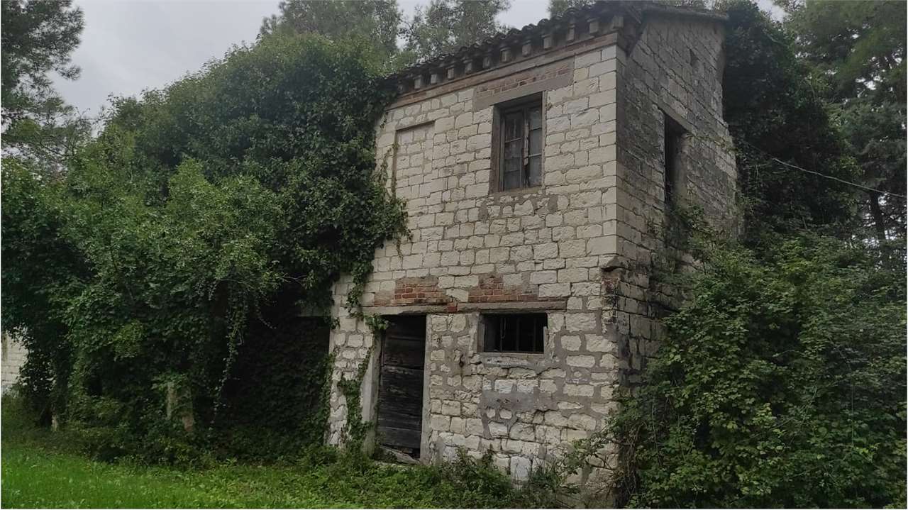 Foto annuncio 2