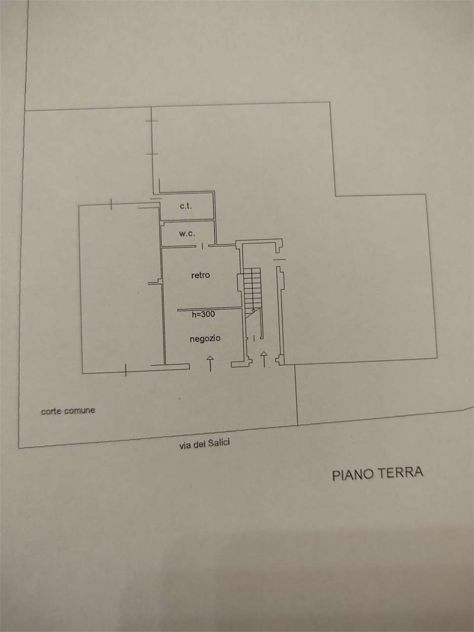 Foto annuncio 9