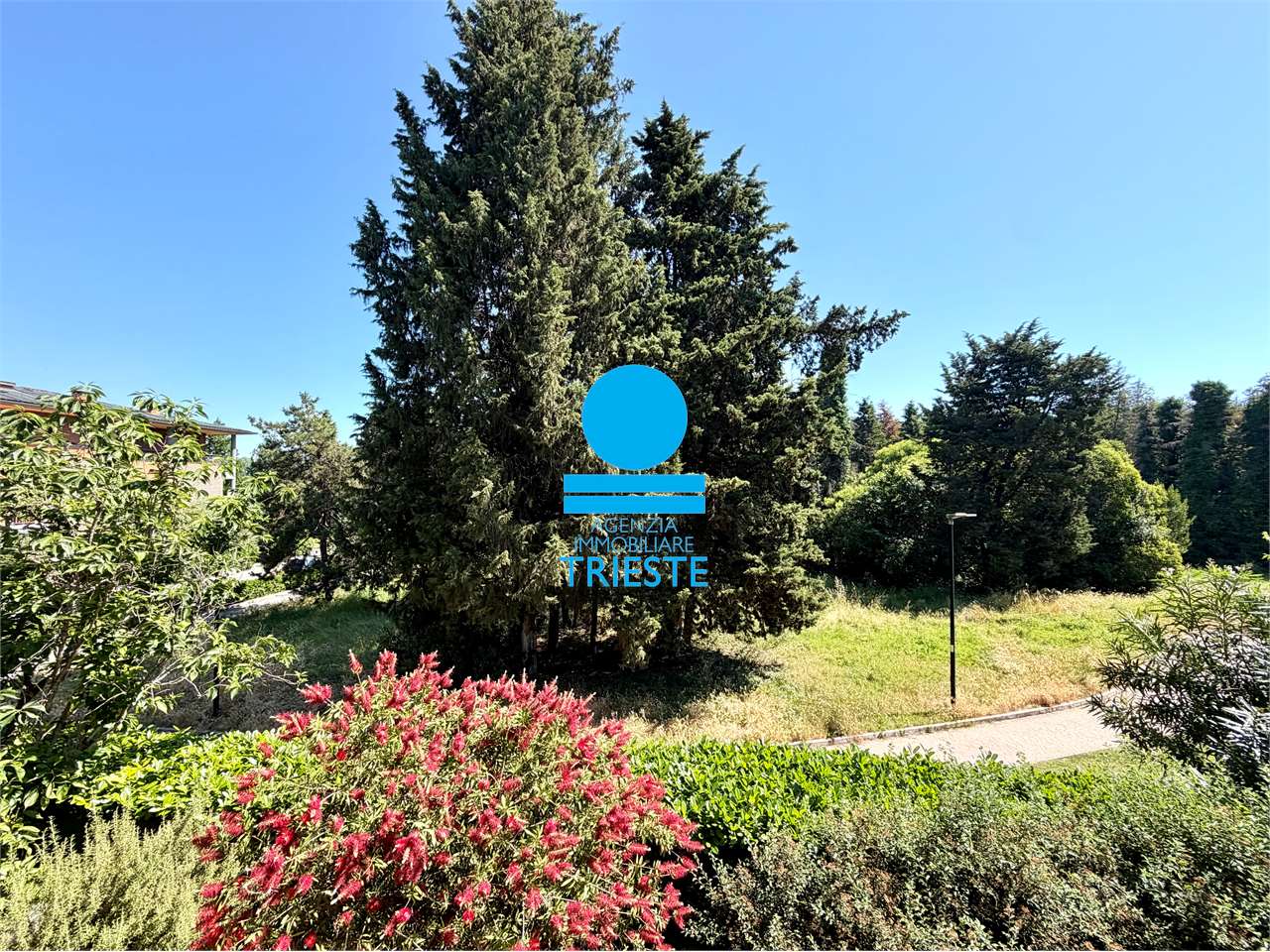 Foto annuncio 11
