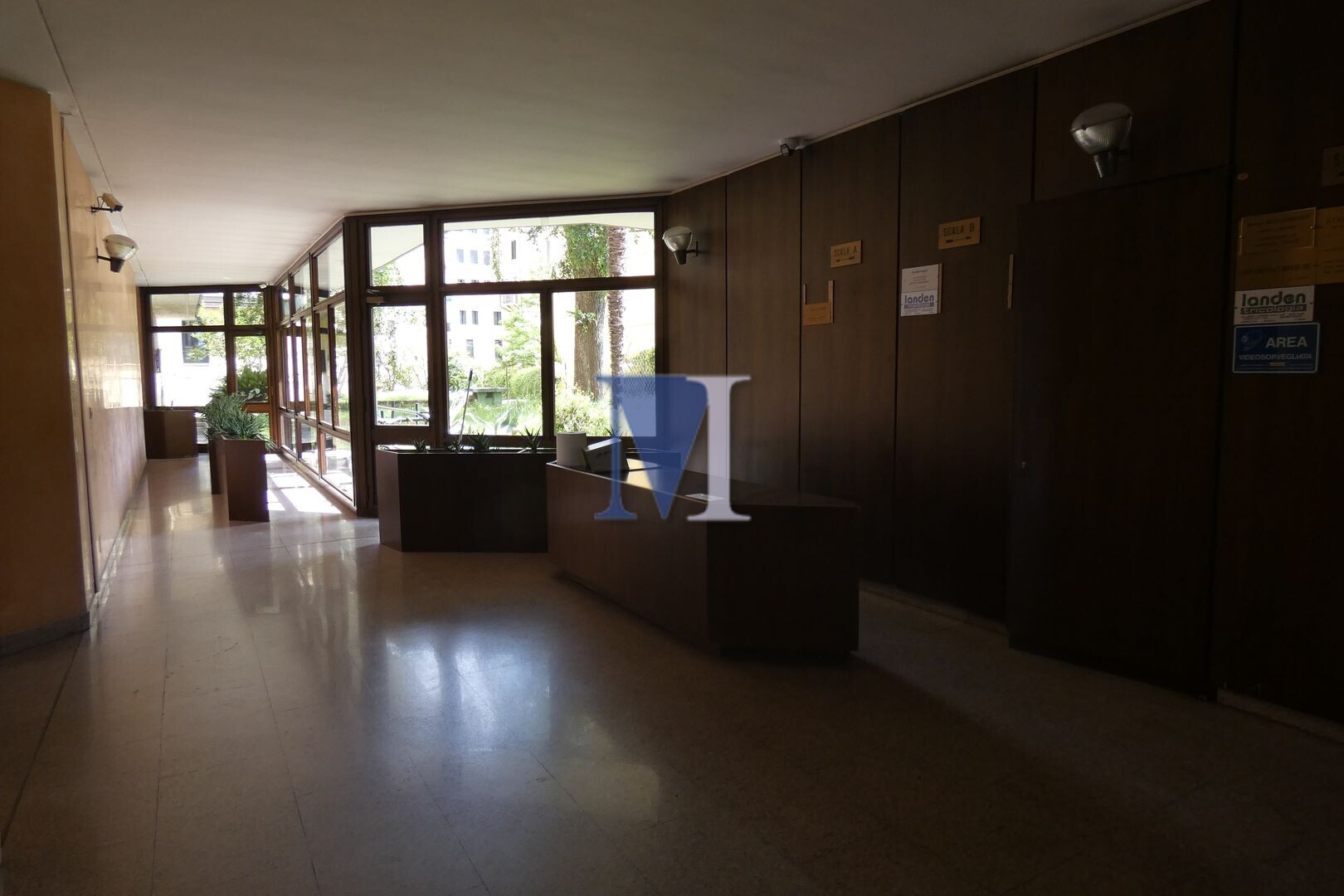 Foto annuncio 30