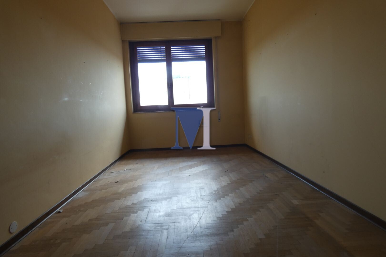 Foto annuncio 25