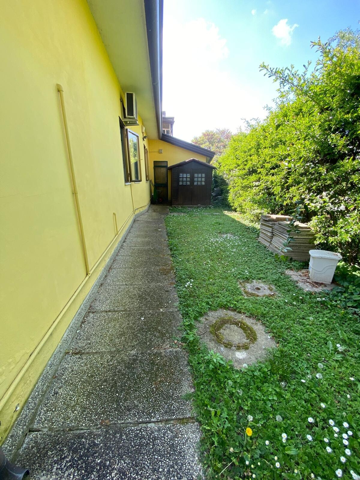 Foto annuncio 5
