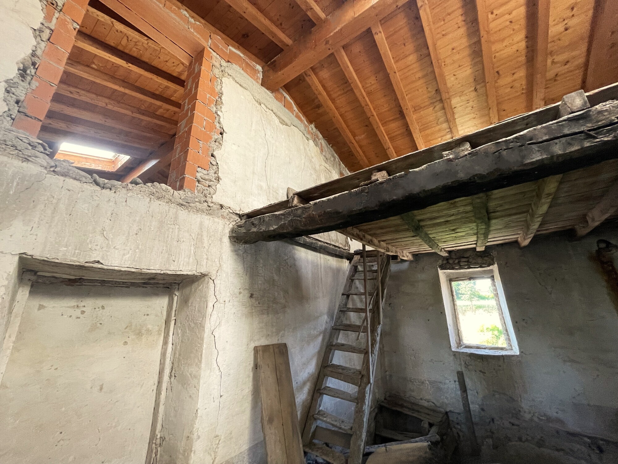Foto annuncio 22