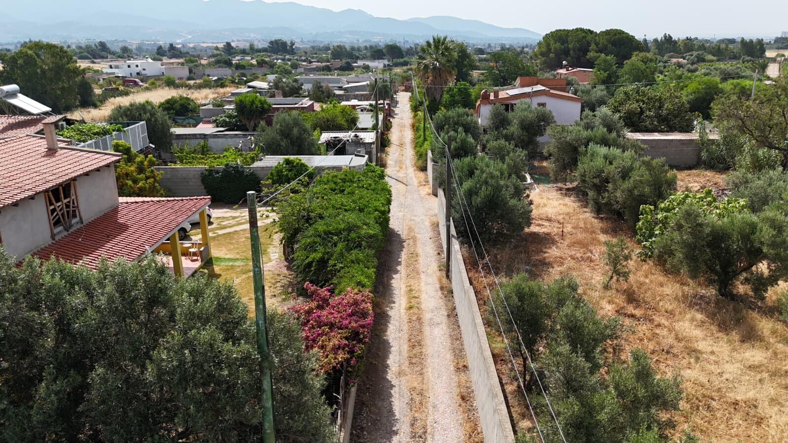 Foto annuncio 53