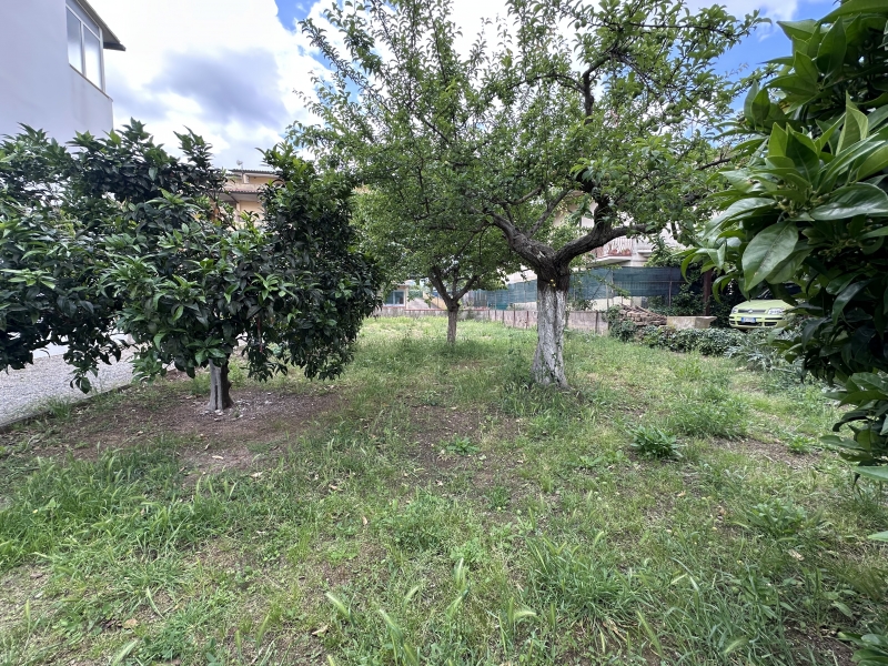 Foto annuncio 5