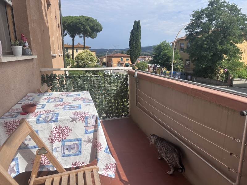 Foto annuncio 18