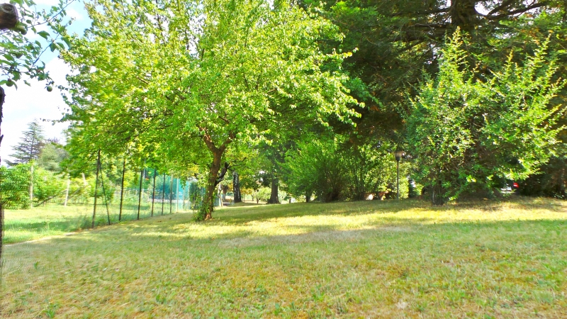 Foto annuncio 10