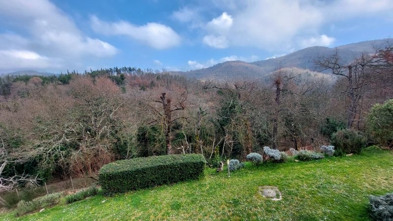 Foto annuncio 9