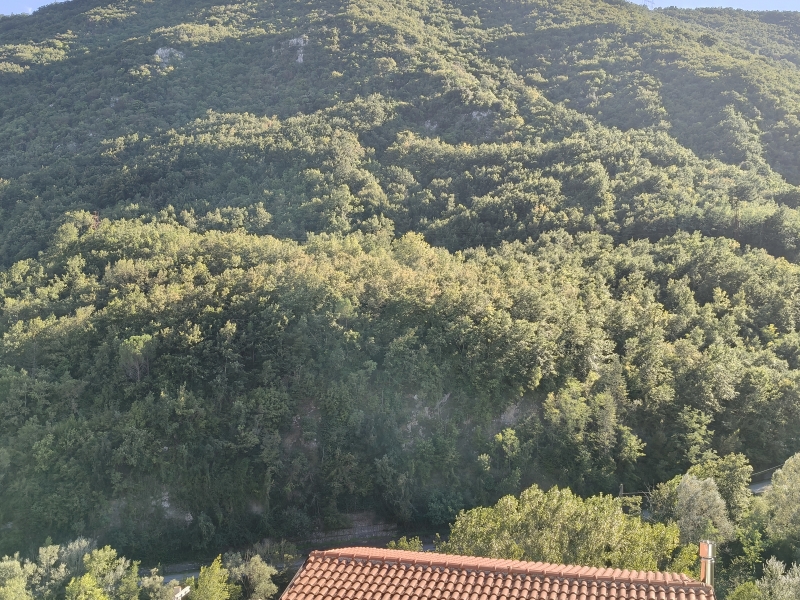 Foto annuncio 14