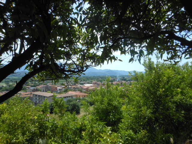 Foto annuncio 16