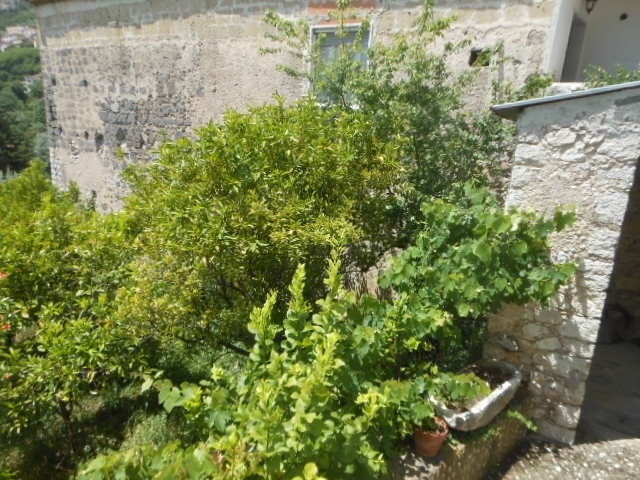 Foto annuncio 29