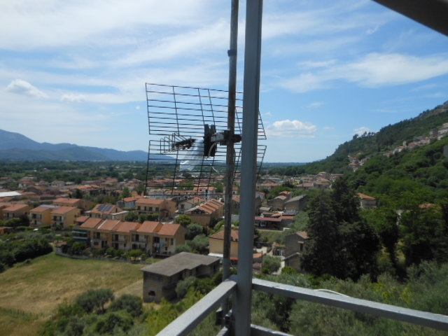 Foto annuncio 4