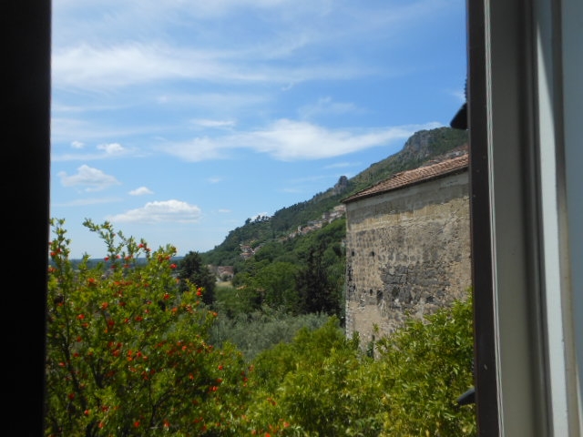 Foto annuncio 32