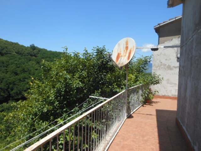 Foto annuncio 12