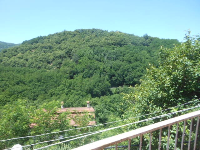 Foto annuncio 13