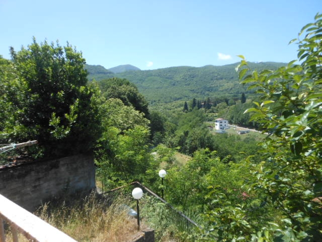 Foto annuncio 16