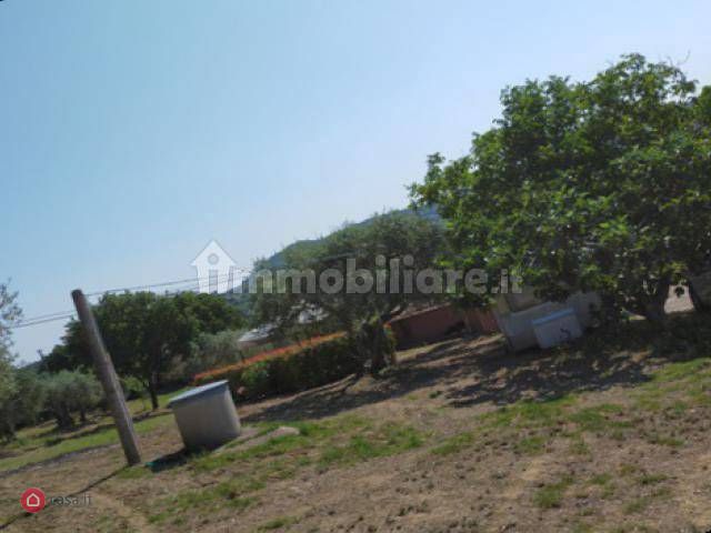 Foto annuncio 2