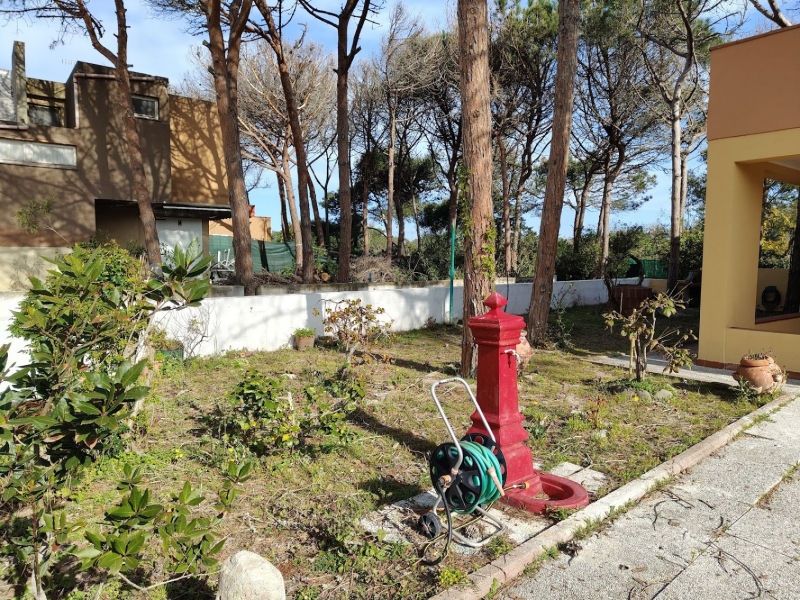 Foto annuncio 5