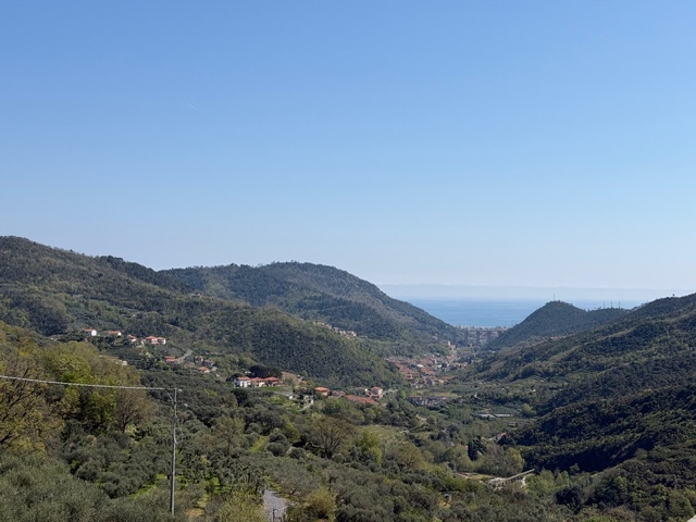 Foto annuncio 1