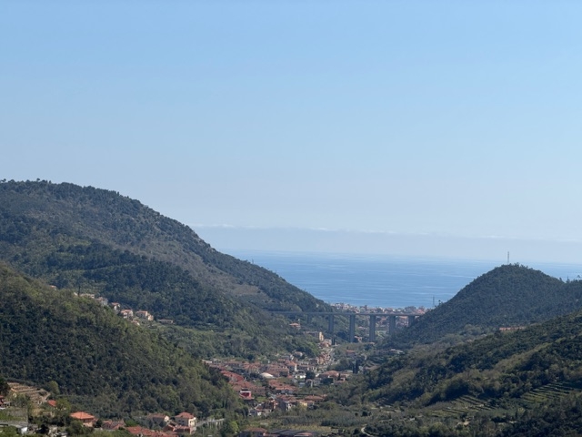 Foto annuncio 17