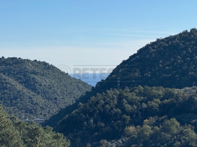 Foto annuncio 23