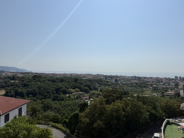 Foto annuncio 21