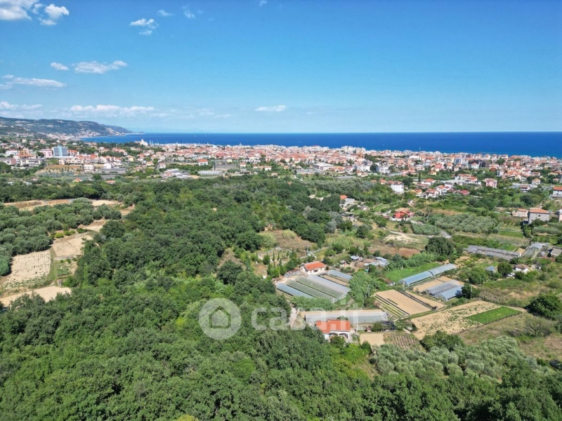 Foto annuncio 1