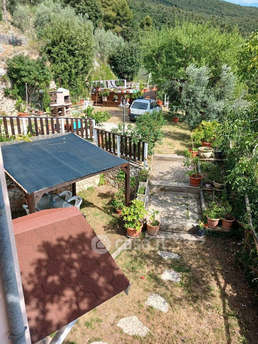 Foto annuncio 7