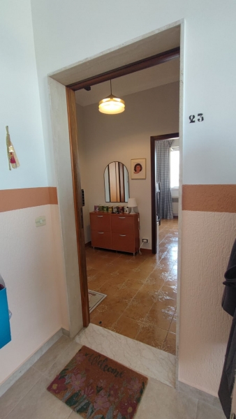 Foto annuncio 31