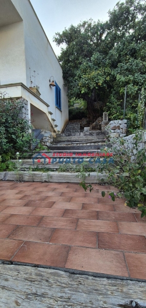 Foto annuncio 22