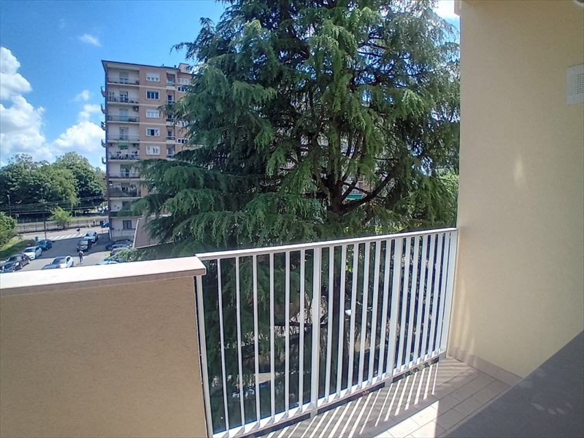 Foto annuncio 18