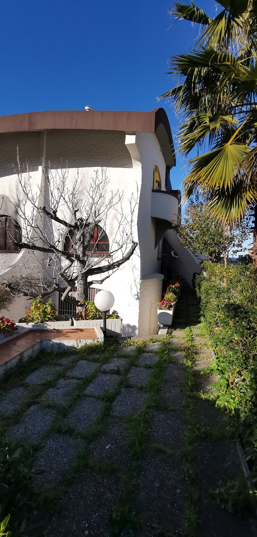 Foto annuncio 4