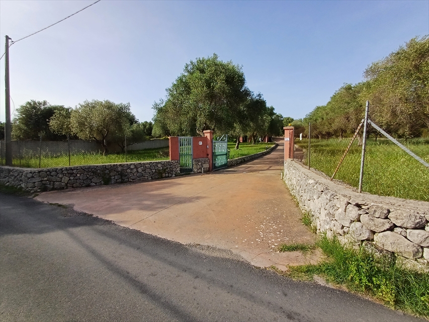 Foto annuncio 4