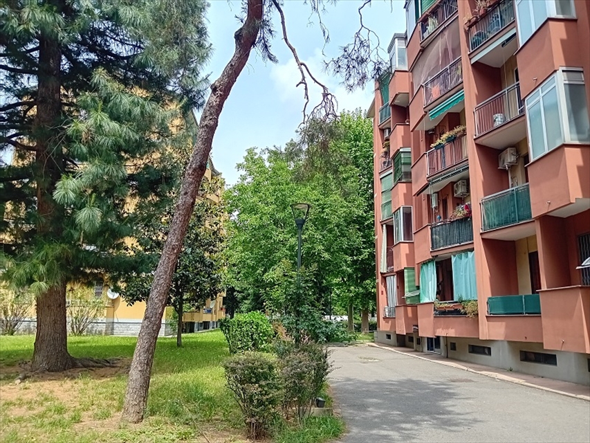 Foto annuncio 3