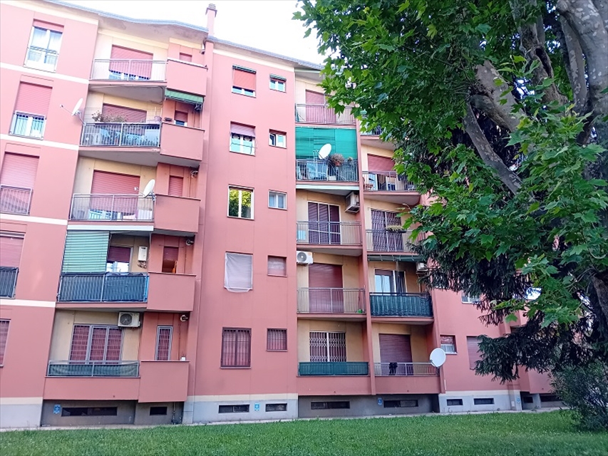 Foto annuncio 30