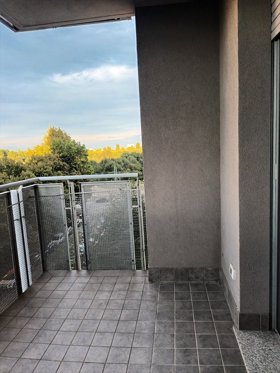 Foto annuncio 24