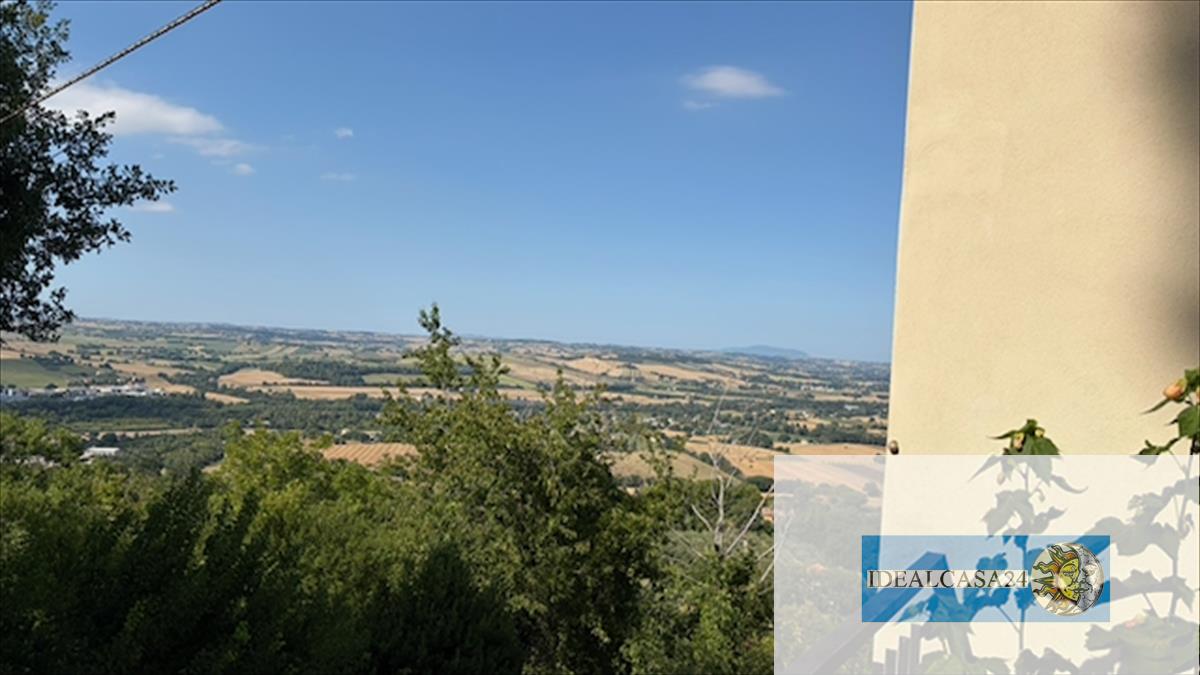 Foto annuncio 15