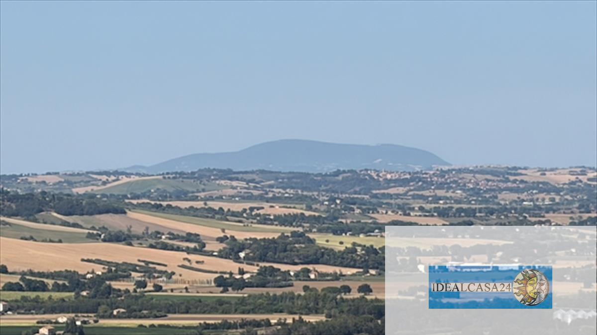 Foto annuncio 30