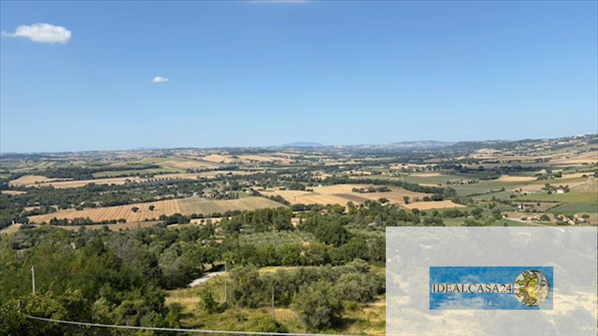 Foto annuncio 17