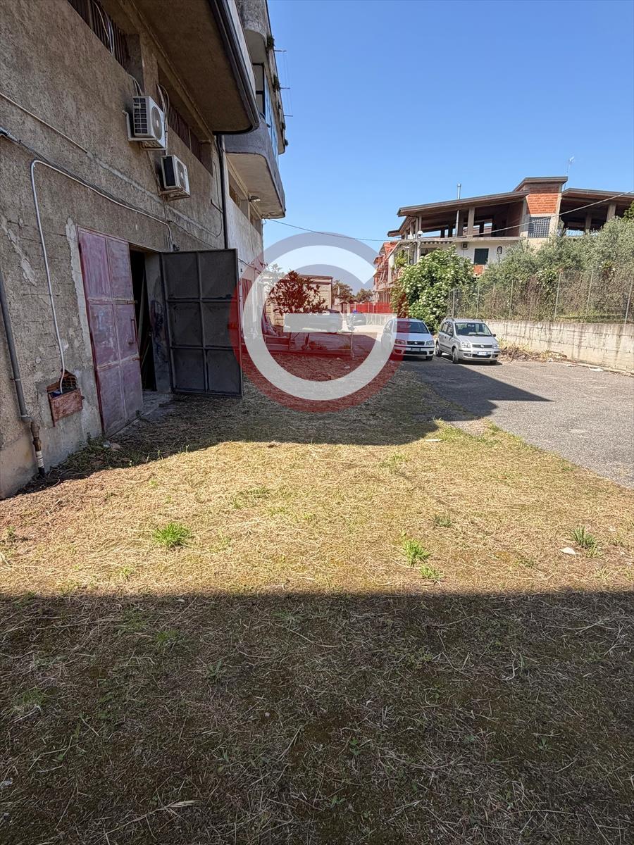Foto annuncio 4
