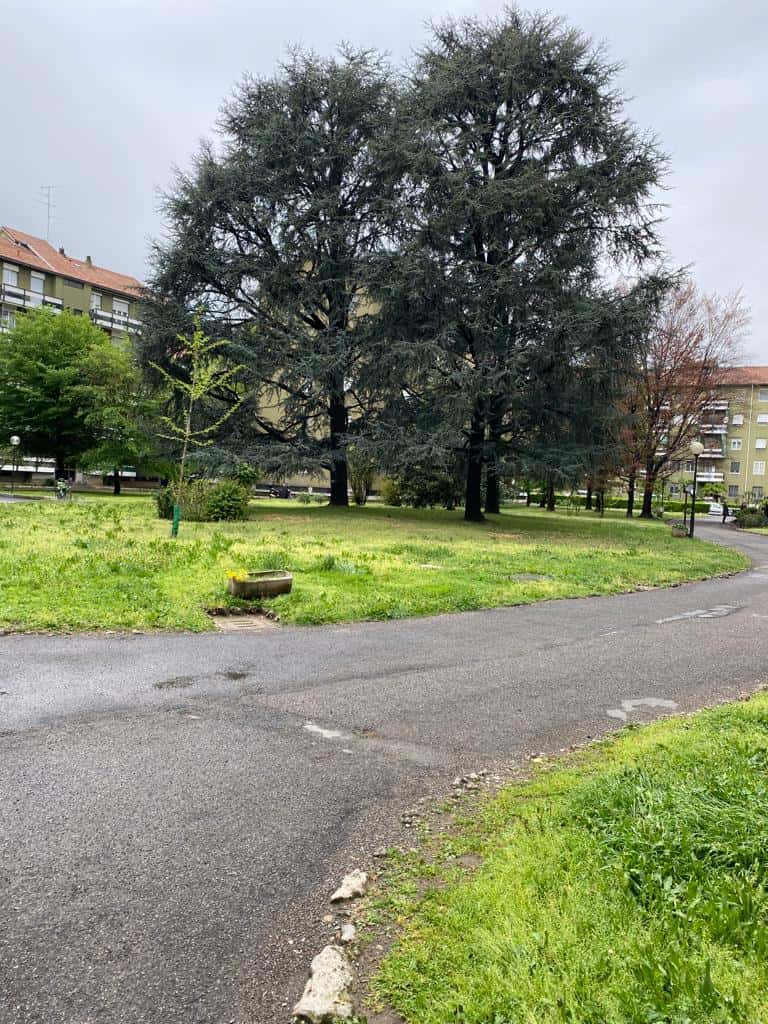 Foto annuncio 18