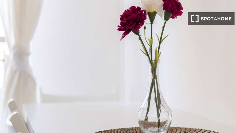 Immagine 12 di Camera condivisa in affitto  in Via Dei Mandorli Milan a Buccinasco