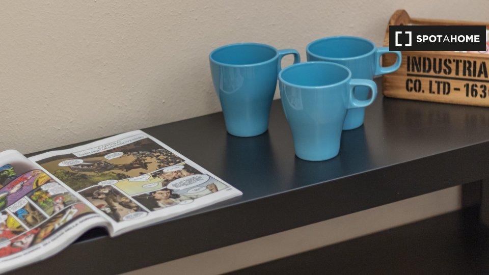 Immagine 16 di Camera condivisa in affitto  in Via Principi d'Acaja a Torino