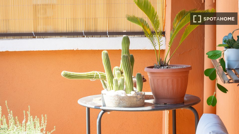 Immagine 7 di Appartamento in affitto  in Via Premuda a Roma