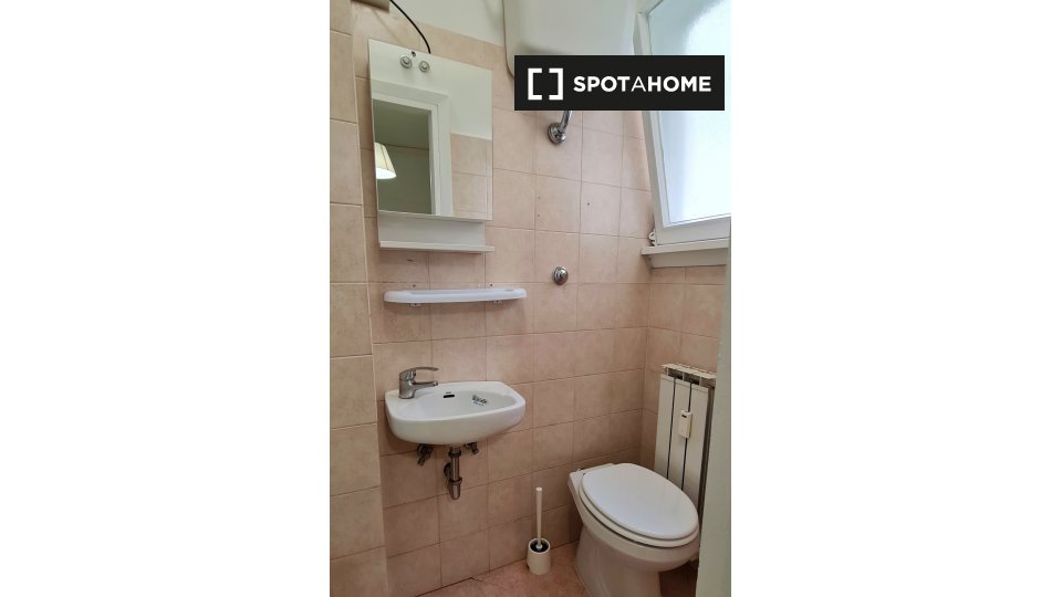 Immagine 15 di Camera condivisa in affitto  in Lungotevere di Pietra Papa a Roma